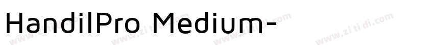 HandilPro Medium字体转换